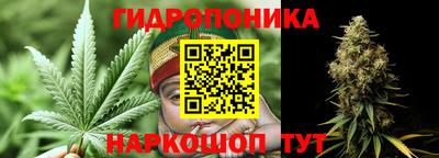 a pvp Волгодонск